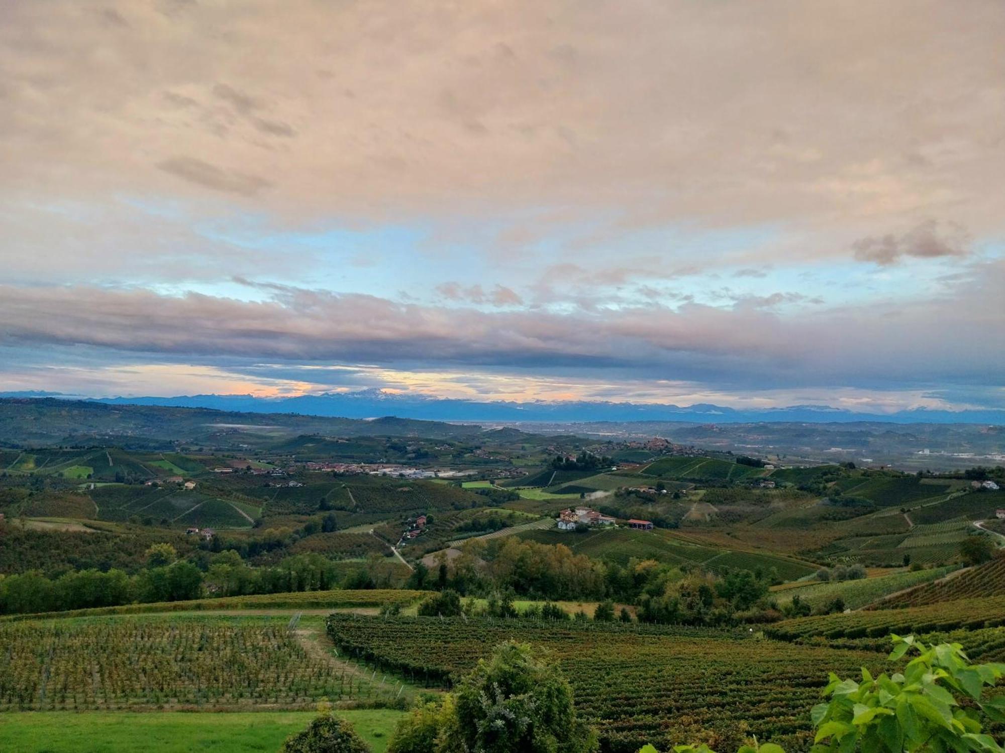 Villa Bellavista Alba, B&B Esterno foto